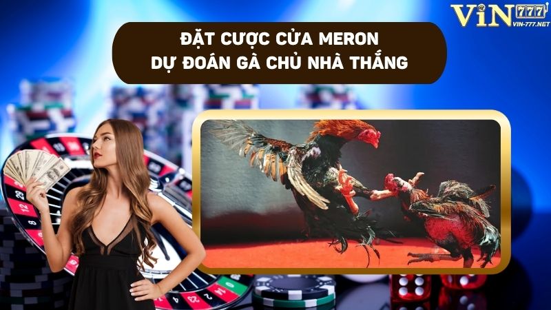 Đặt cược cửa Meron trong đá gà nòi cựa sắt